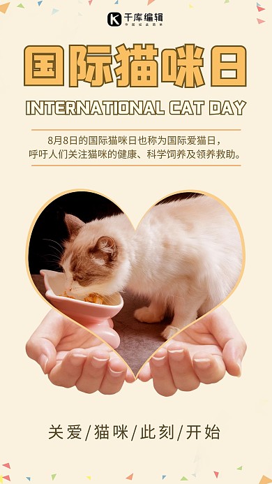 国际猫咪日猫橙色简约海报