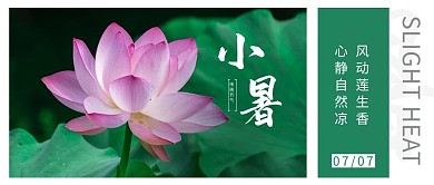 小暑节气荷花绿色摄影写实大字公众号首图