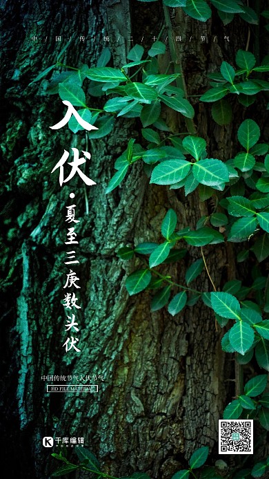 入伏绿叶绿色简约海报