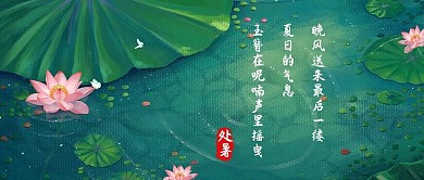 处暑荷花绿色中国风公众号首图