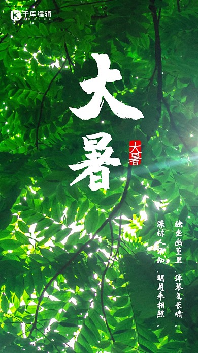 大暑二十四节气简约清新绿色树叶千库原创手机海报
