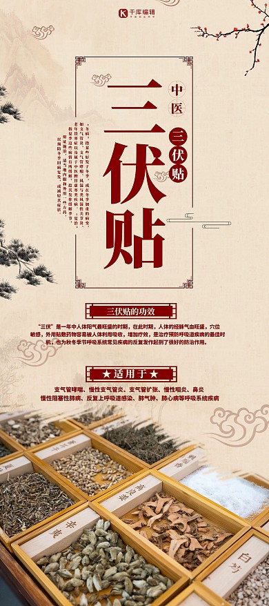 三伏天三伏贴红色简约展架