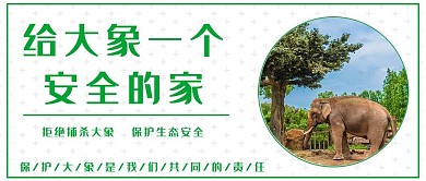 世界大象日大象绿色简约 公众号首图