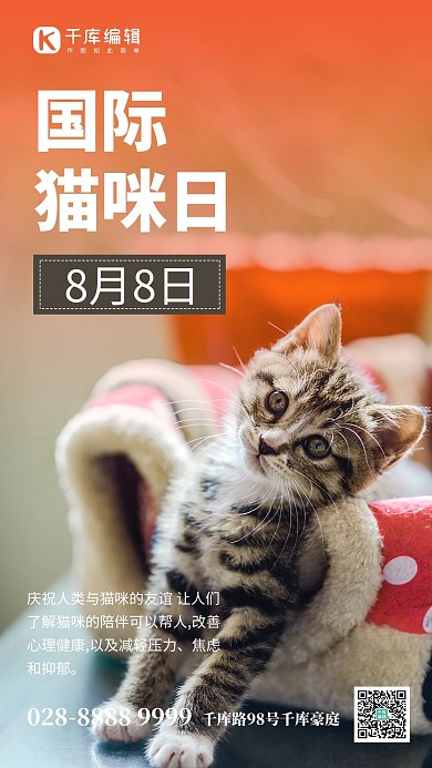 国际猫咪日猫橙色创意手机海报