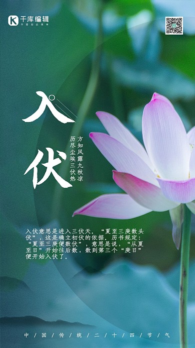 入伏荷花绿色简约海报