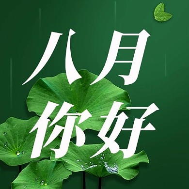 八月你好荷花绿色清新公众号次图