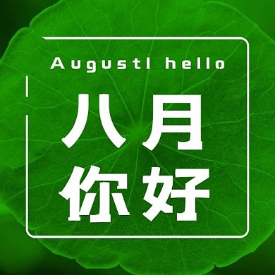 你好八月荷叶绿色简洁大字公众号次图