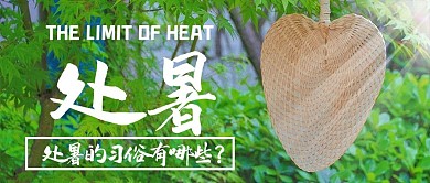 二十四节气处暑的习俗绿色小清新公众号首图