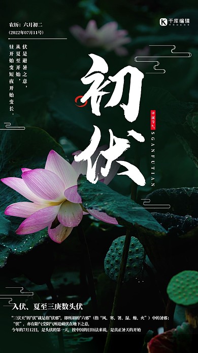初伏荷花绿色创意海报