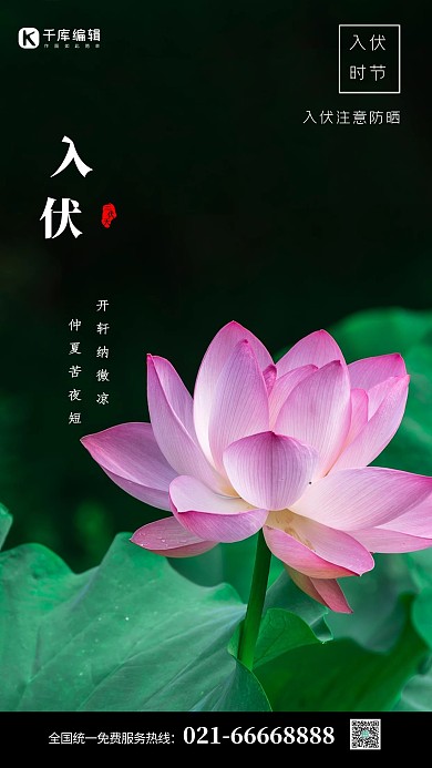 入伏三伏天绿色简约海报