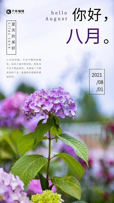 千库原创简约大方八月你好海报