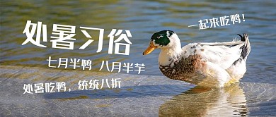 处暑习俗鸭子蓝色摄影风公众号首图