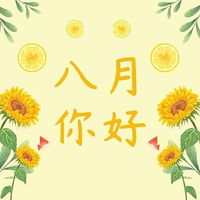 八月你好菊花简约公众号次图