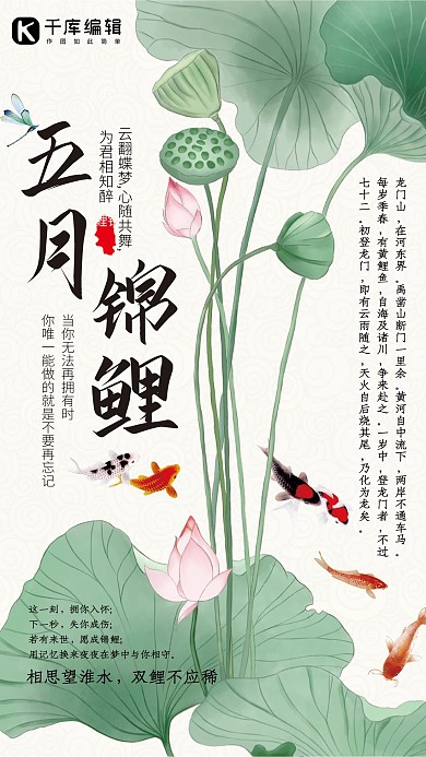 五月锦鲤鲤鱼戏莲海报