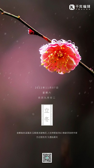 立冬梅花红色摄影写实海报