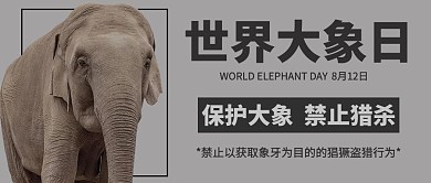 世界大象日大象灰色写实公众号首图
