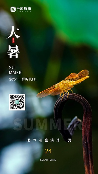 大暑小蜻蜓黑色创意海报