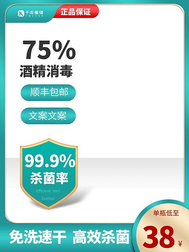 洗护节盾牌绿色简约主图