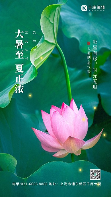 二十四节气大暑荷花绿色简约海报