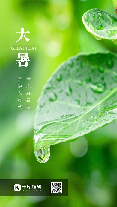 大暑节气海报绿叶露珠绿色简约小清新海报