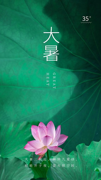 大暑摄影图荷花荷叶绿色简约创意海报