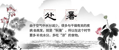 处暑荷花白色水墨公众号首图