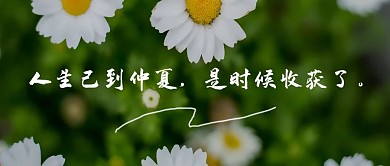 人生己到仲夏花朵绿色简约公众号首图