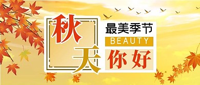 秋天你好枫叶大雁黄色落叶简约公众号首图