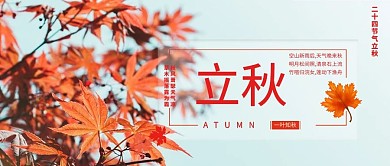 立秋枫叶写实公众号首图