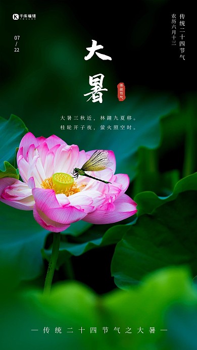 大暑荷花绿色节气摄影图海报
