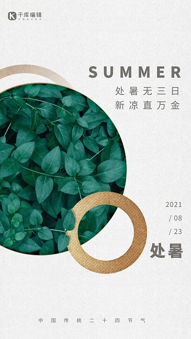 处暑节气绿叶浅灰色简约手机海报