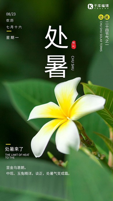 处暑栀子花绿色简约摄影图海报