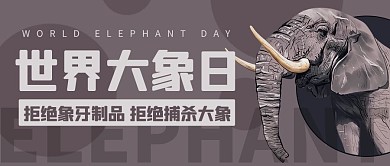 世界大象日拒绝象牙制品彩色简约公众号首图