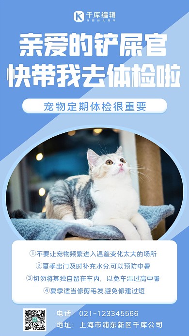 带我去定期宠物蓝色简约手机海报
