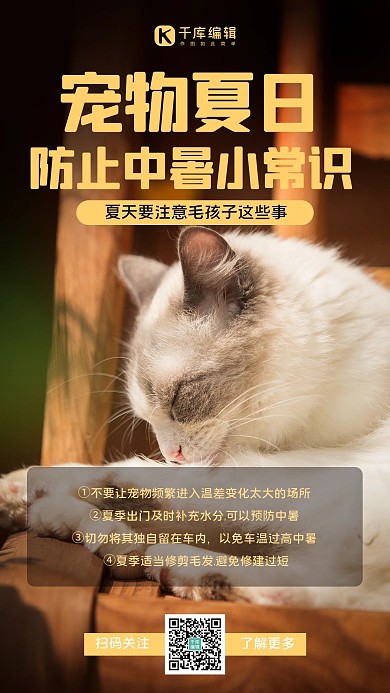 宠物攻略宠物指南黄色简约手机海报