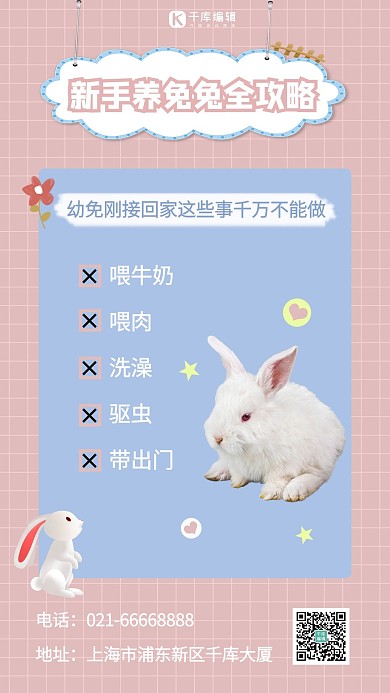 新手养兔兔全攻略兔子粉色蓝色简约手机海报
