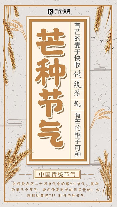 简约中国风传统节气芒种海报