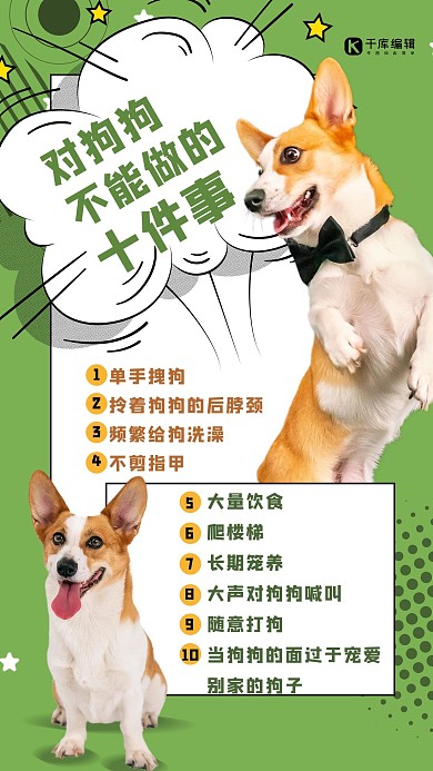 宠物攻略狗绿色创意海报