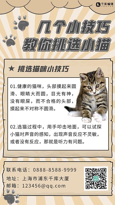 宠物攻略猫咪棕色可爱海报