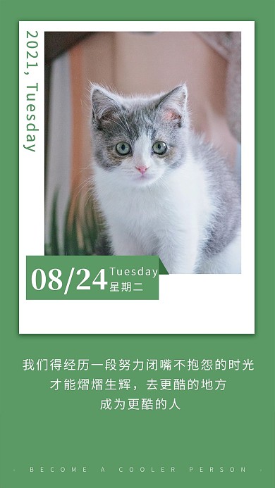日签海报猫绿色简约企业精神绿色海报