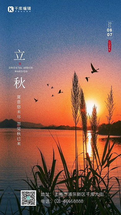 立秋芦苇蓝色简约海报