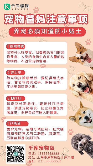 宠物爸妈注意事项狗狗粉色简约手机海报