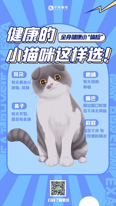 宠物攻略猫咪蓝色扁平海报