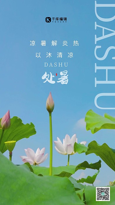 摄影蓝天处暑荷花蓝色简约海报
