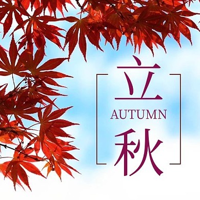 立秋二十四节气彩色简约公众号