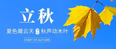 立秋传统节气蓝色简约公众号首图
