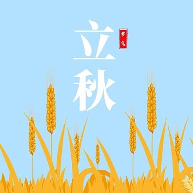 立秋稻子蓝色简约公众号次图