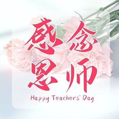 教师节康乃馨粉色简约清新公众号次图