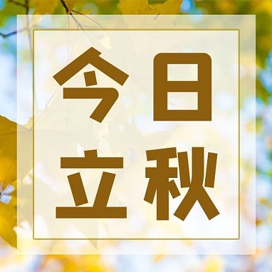 立秋树叶黄色公众号次图