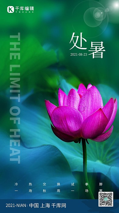 处暑荷花绿色简约海报
